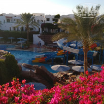 фото из отзыва ID 1897158