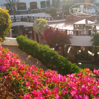 фото из отзыва ID 1897158