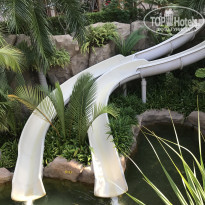 фото из отзыва ID 1896999