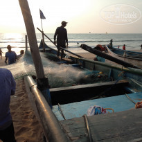 фото из отзыва ID 1897312