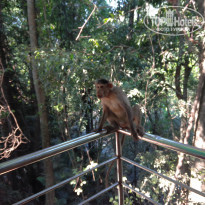 фото из отзыва ID 1897312