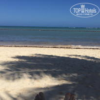 фото из отзыва ID 1897335