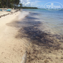 фото из отзыва ID 1897335