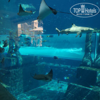 фото из отзыва ID 1897374