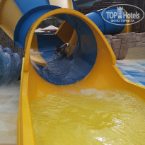 фото из отзыва ID 1897374