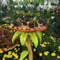 фото из отзыва ID 1897374