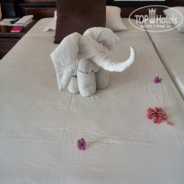 фото из отзыва ID 1897376