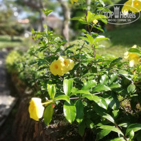 фото из отзыва ID 1897438