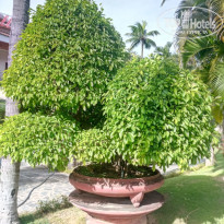 фото из отзыва ID 1897968