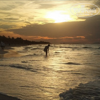 фото из отзыва ID 1897980