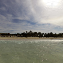 фото из отзыва ID 1897980