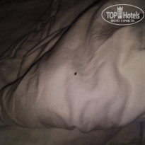 фото из отзыва ID 1898282