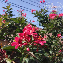 фото из отзыва ID 1898325