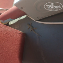 фото из отзыва ID 1898325