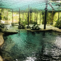 фото из отзыва ID 1898354