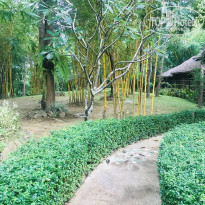 фото из отзыва ID 1898354