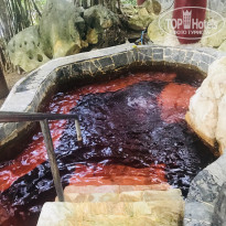 фото из отзыва ID 1898354