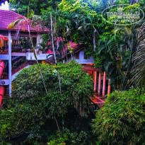 фото из отзыва ID 1898354