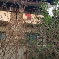 фото из отзыва ID 1898411