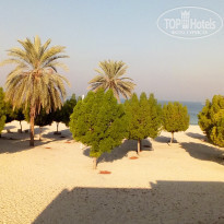 фото из отзыва ID 1898458