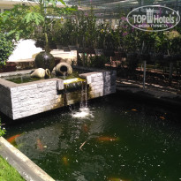 фото из отзыва ID 1898553