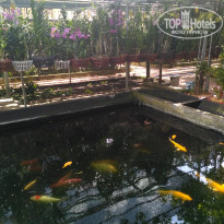 фото из отзыва ID 1898553