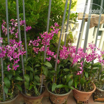 фото из отзыва ID 1898553