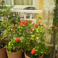 фото из отзыва ID 1898553