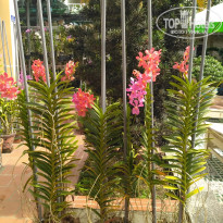 фото из отзыва ID 1898553