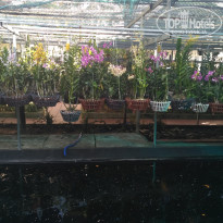 фото из отзыва ID 1898553