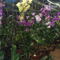 фото из отзыва ID 1898553