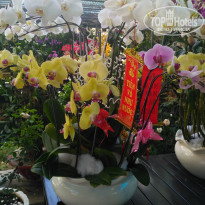 фото из отзыва ID 1898553