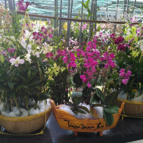 фото из отзыва ID 1898553