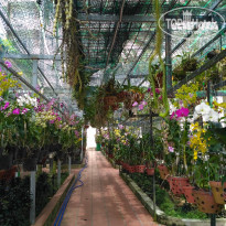 фото из отзыва ID 1898553