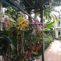 фото из отзыва ID 1898553