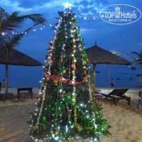 фото из отзыва ID 1898553