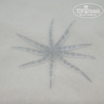 фото из отзыва ID 1898553