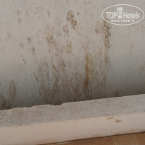 фото из отзыва ID 1898571