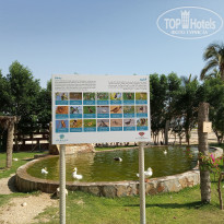 фото из отзыва ID 1895436