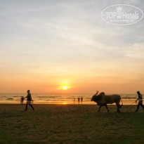 фото из отзыва ID 1898641