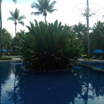 фото из отзыва ID 1898680