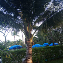 фото из отзыва ID 1898680