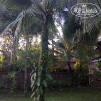 фото из отзыва ID 1898680