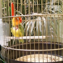 фото из отзыва ID 1898701