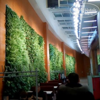 фото из отзыва ID 1898701