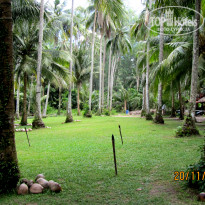 фото из отзыва ID 1898723