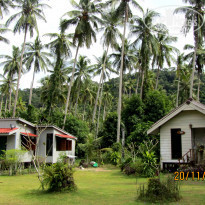 фото из отзыва ID 1898723