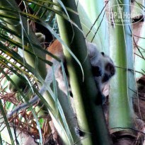 фото из отзыва ID 1898723