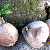 фото из отзыва ID 1898723