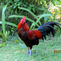 фото из отзыва ID 1898723